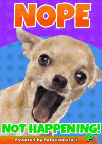 Henlo Hooman Fren GIF by PetJuvenate - PJ