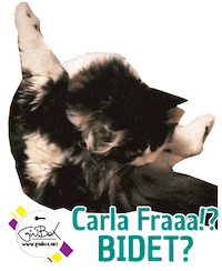 gbgif giuboxofficial Sticker by Giù Box