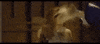water splash GIF