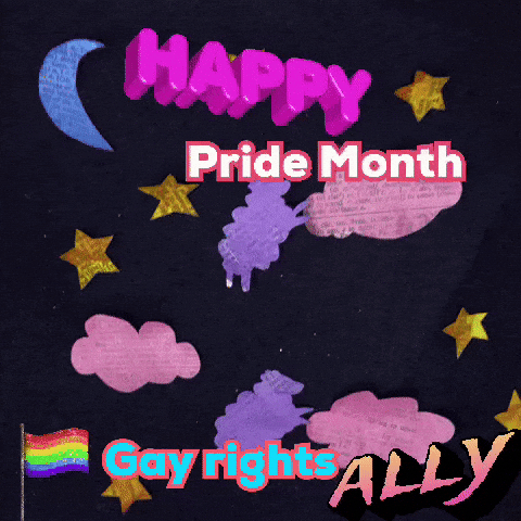 Ally Gay Rights GIF