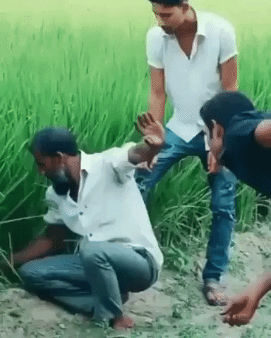 GifVif giphyupload what was that GIF