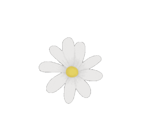 Maximeee giphyupload white flower drawing Sticker