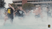 ucfedu ucf ucf knights university of central florida spirit splash GIF