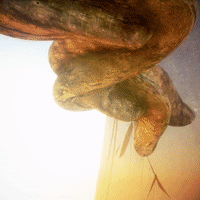 hamasakihaus waterfall jellyfish motiondesign realflow GIF
