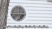 GIF by Giffffr