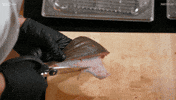 Australia Cut GIF by MasterChefAU