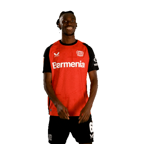 Bayer 04 Bundesliga Sticker by Bayer 04 Leverkusen