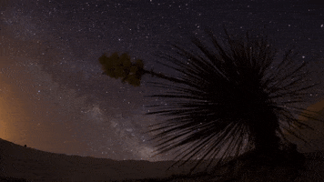 music video whatever GIF by Kaskade