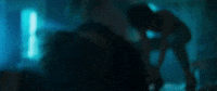 GIF by Gunpowder & Sky