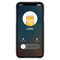 Chinese New Year Beer Sticker by Carlsberg