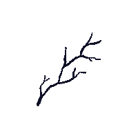 Flower Blooming Sticker