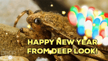 GIF by KQEDScience