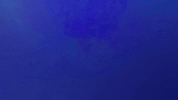 Nope GIF by Jeopardy!