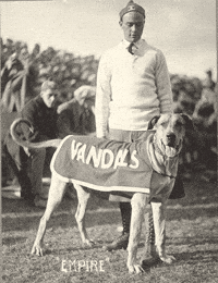 U Of I Dog GIF by University of Idaho