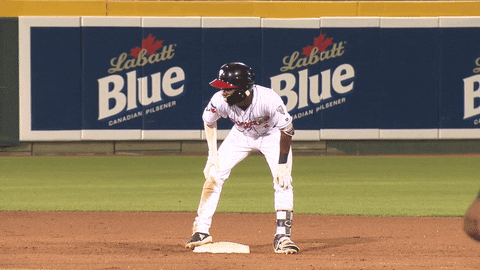 minor league baseball GIF by Lansing Lugnuts