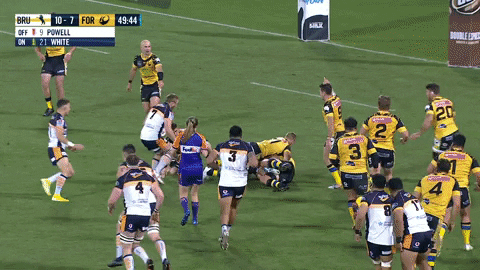 RUGBYdotcomau giphyupload GIF