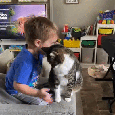 Cat Not in the Mood for Little Boy's Affection