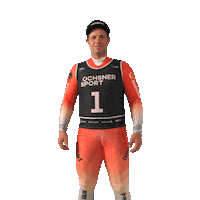 Swissski Raceday Sticker by Ochsner Sport
