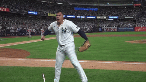 New York Yankees GIF by MLB