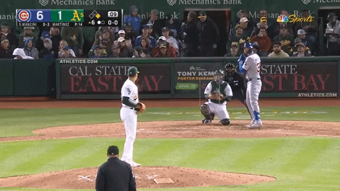 estee42 giphyupload GIF