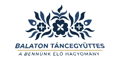 Neptanc Siofok Sticker by balatontancegyuttes