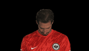 Look Up Eintracht Frankfurt GIF by Bundesliga