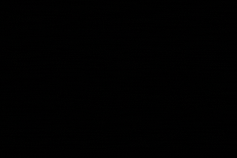 Zoholics GIF by Zoho