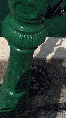 ninaragusa giphyupload GIF