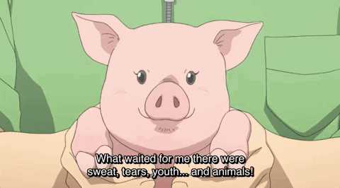 Silver Spoon Japan GIF by All The Anime — Anime Limited