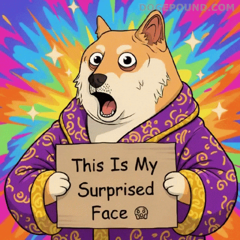 Shiba Inu Wow GIF by Doge Pound