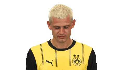 Look Up Borussia Dortmund Sticker by Bundesliga