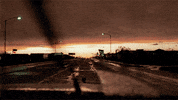 wim wenders GIF by Maudit