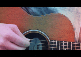 TRUMANVISUALS photography guitar acoustic pick GIF