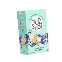 Sourdough Sticker by Moonshot Snacks