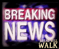 Breaking News Canada GIF by Alex Boya