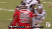 Tampa Bay Buccaneers Football GIF by NFL