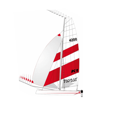 TOPCATsailing giphygifmaker sailing catamaran segeln Sticker