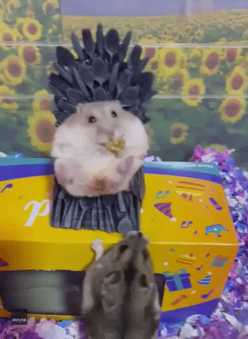 Hamster Takes Its Place on Miniature Iron Throne
