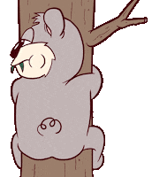 dunerats danny koala aussie bc Sticker