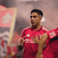 St Louis Celebration GIF by St. Louis CITY SC