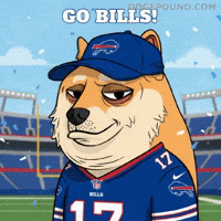 Shiba Inu Football GIF by Doge Pound