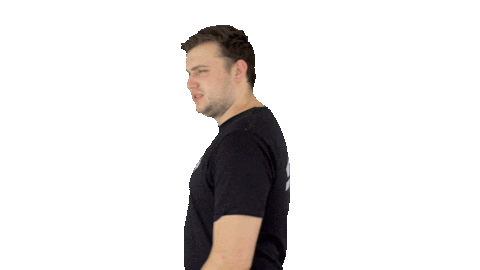 Dj Carnaval Sticker by LINKESOEP