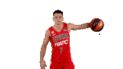 Liga Endesa Basketball Sticker by ACB