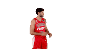 Liga Endesa Basketball Sticker by ACB