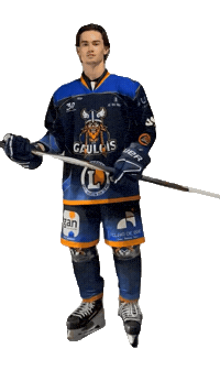 Celebration Goal Sticker by Hockey Club Châlonnais