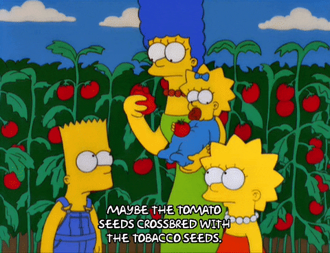 talking bart simpson GIF