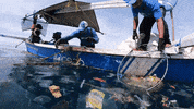 Earth Day GIF by 4ocean