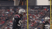 Football Celebration GIF by New England Patriots