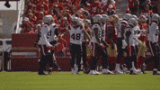 Football Nfl GIF by New England Patriots