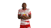 Freezing Ice Cold Sticker by RB Leipzig